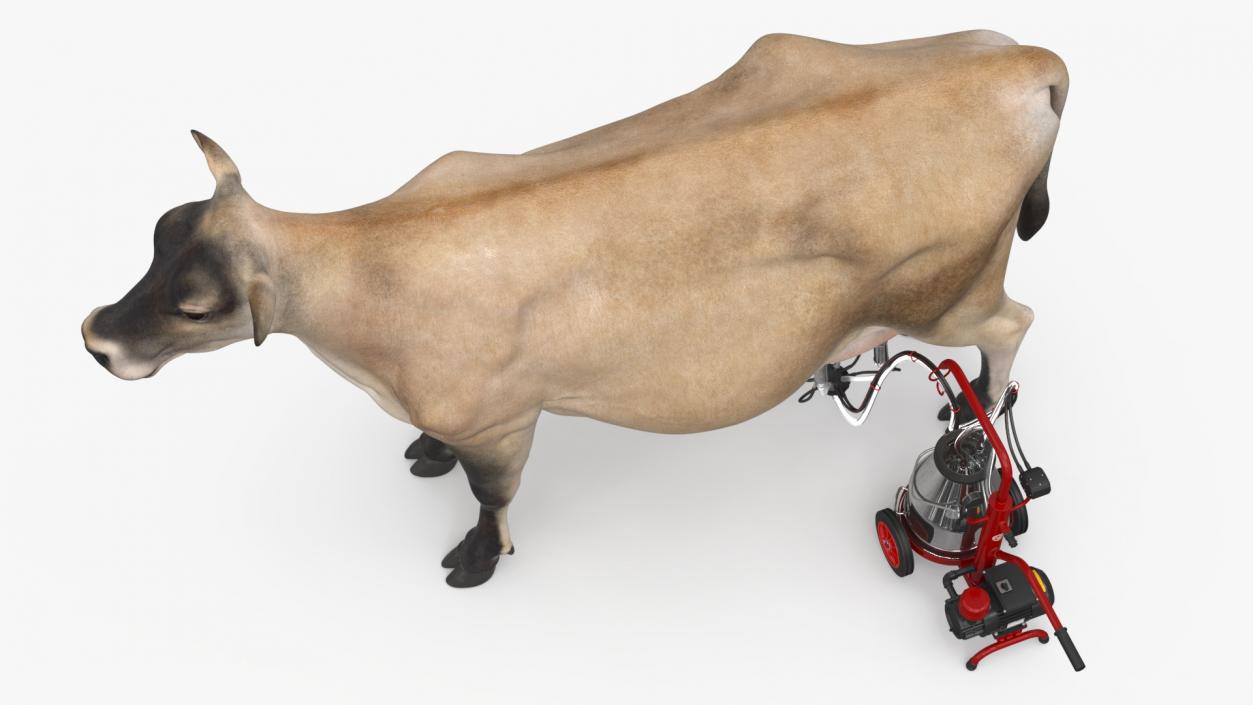 3D Jersey Dairy Cow and Milking Machine