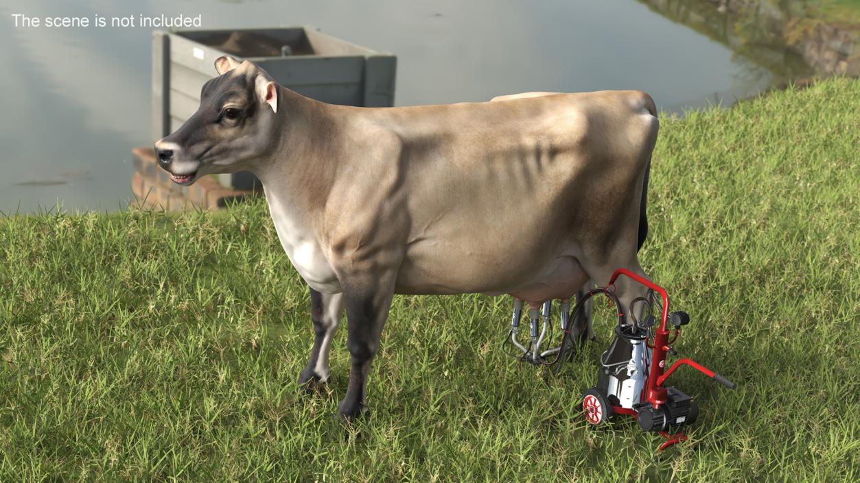 3D Jersey Dairy Cow and Milking Machine