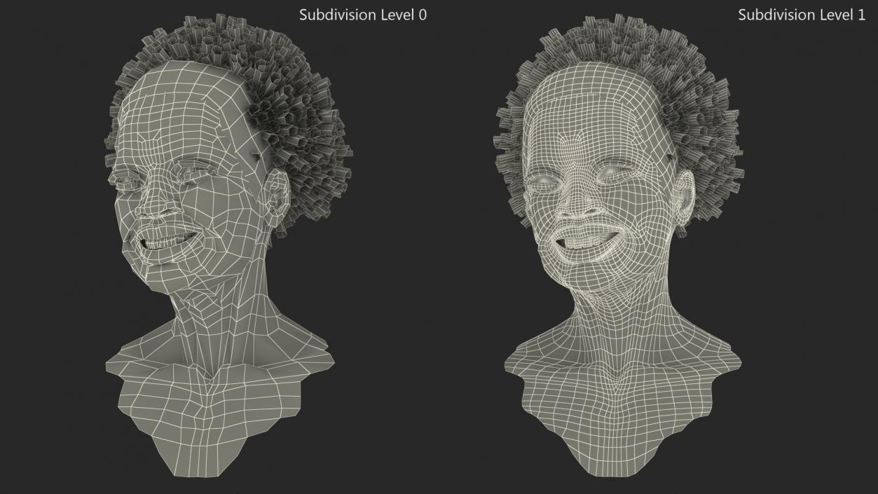 3D model Elderly Afro American Woman Head Smiling