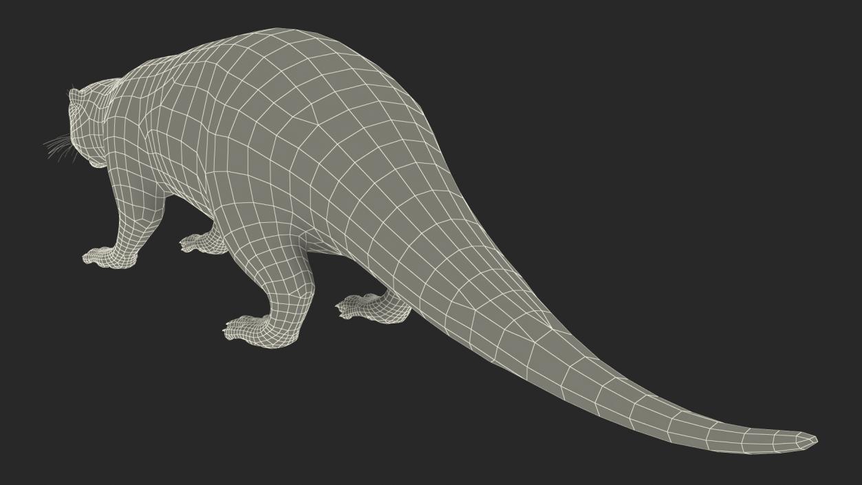 River Otter Basic Pose 3D