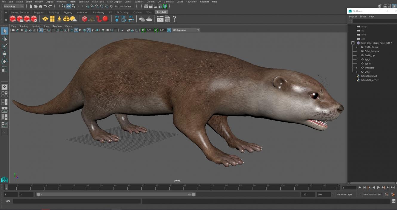 River Otter Basic Pose 3D