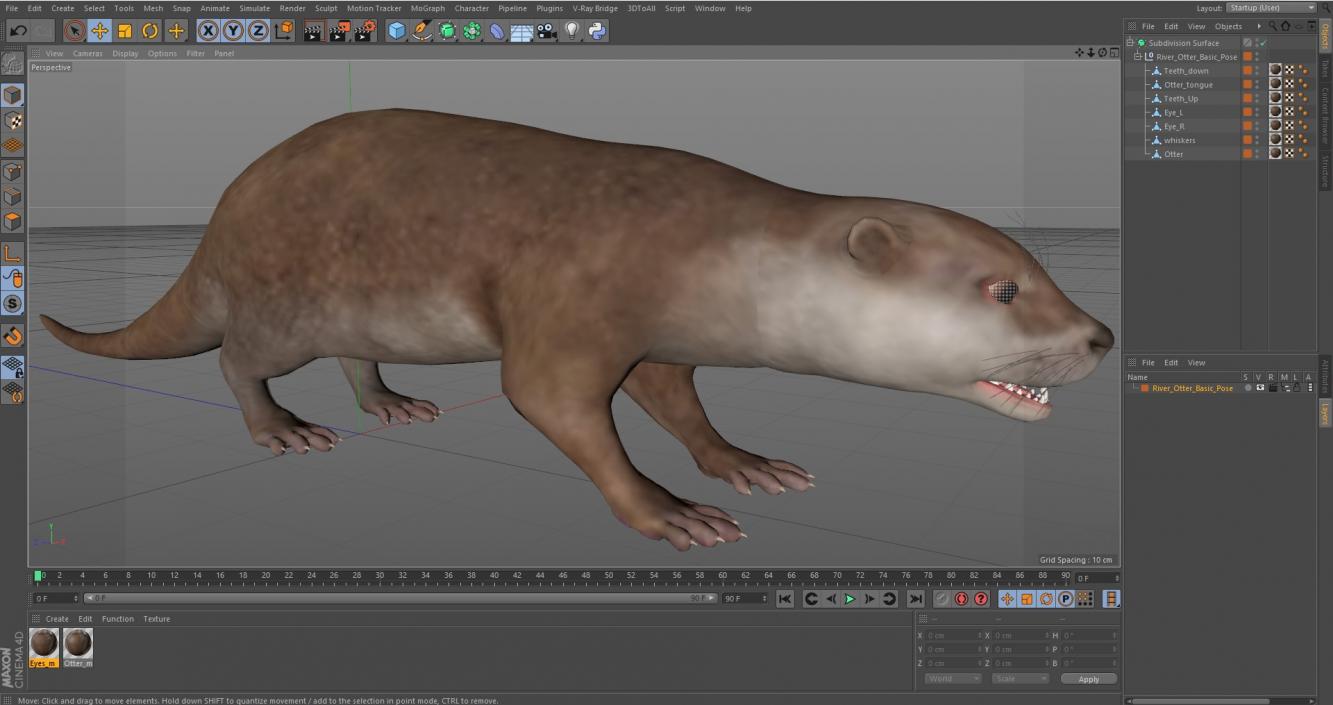 River Otter Basic Pose 3D