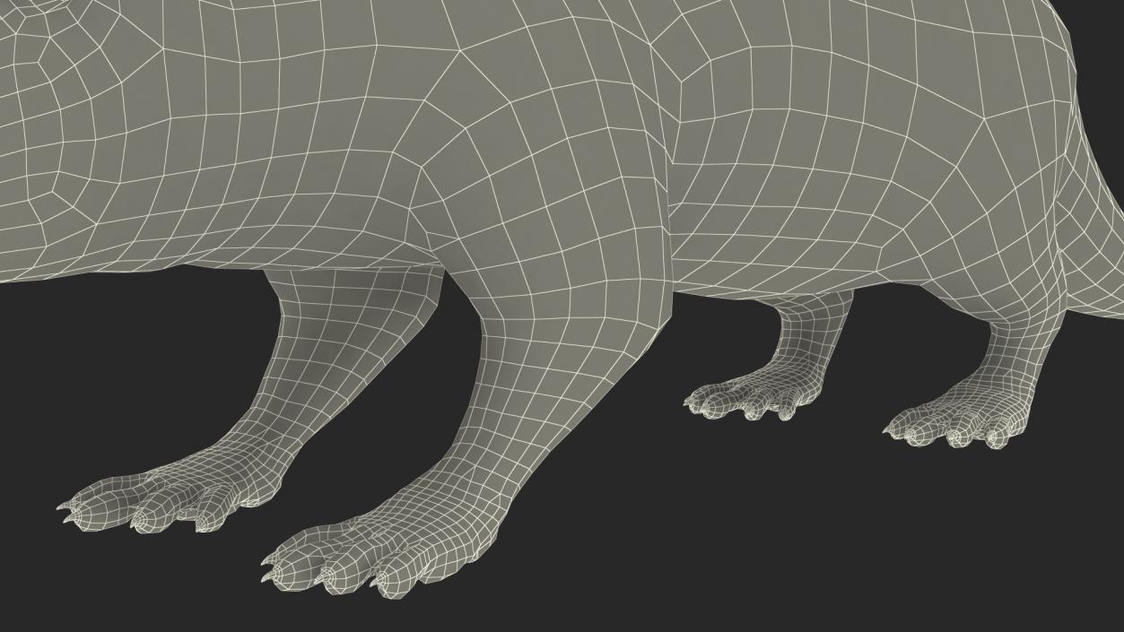 River Otter Basic Pose 3D