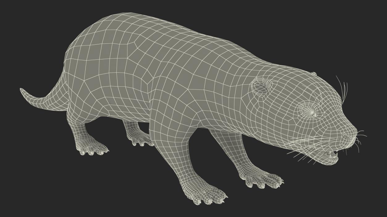 River Otter Basic Pose 3D