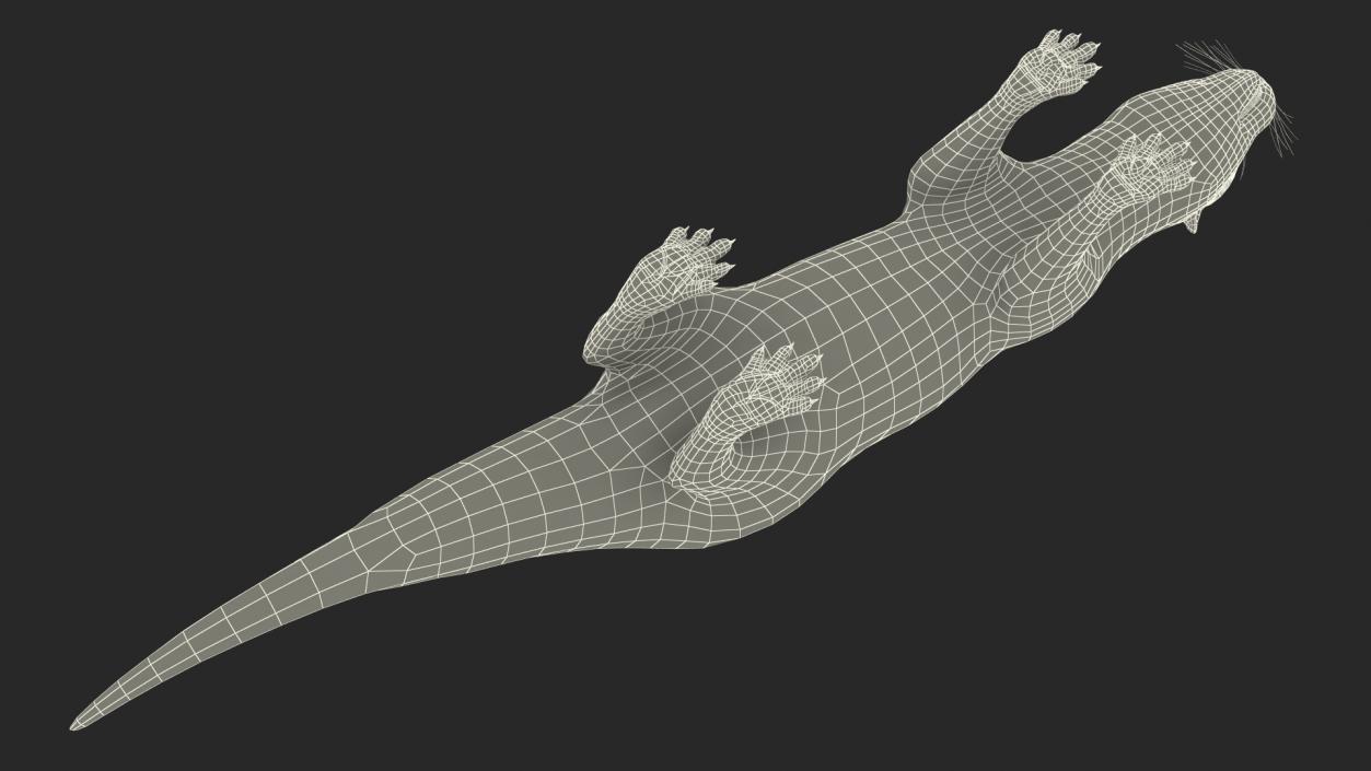 River Otter Basic Pose 3D