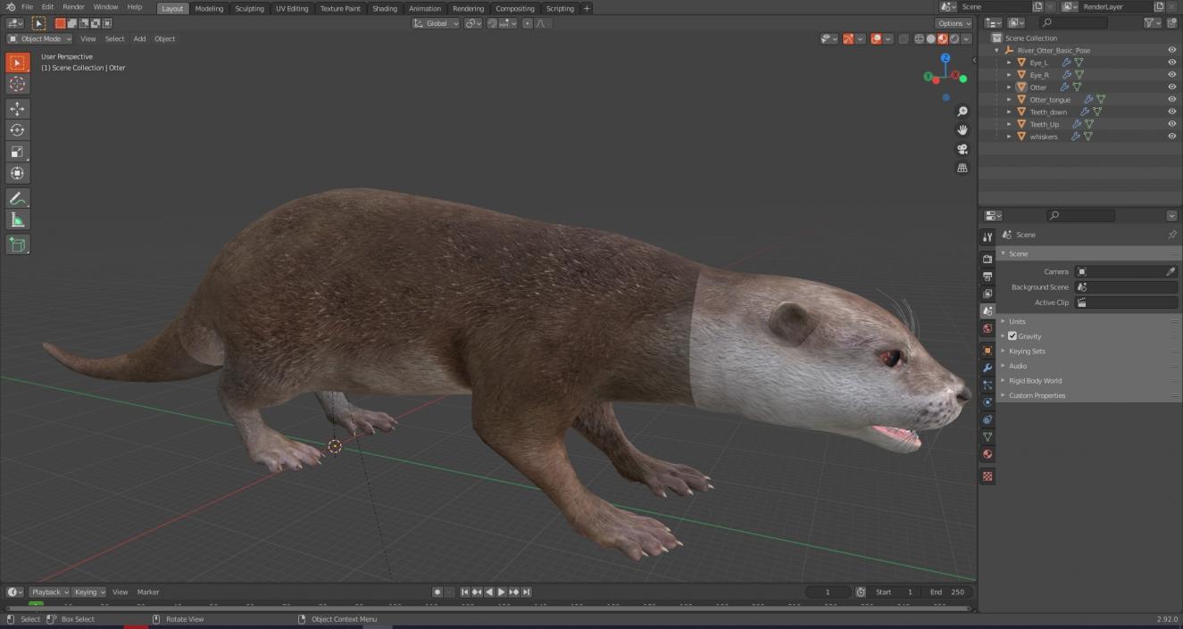 River Otter Basic Pose 3D