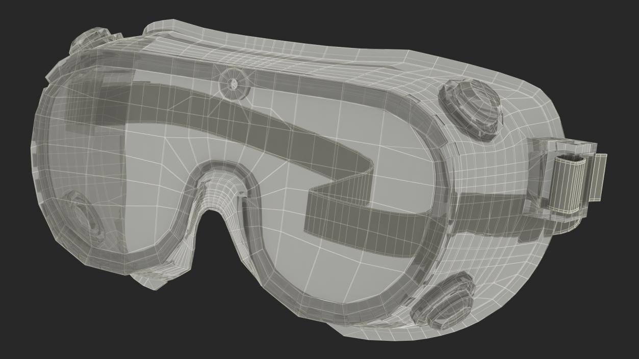 Scientific Safety Goggle 3D model