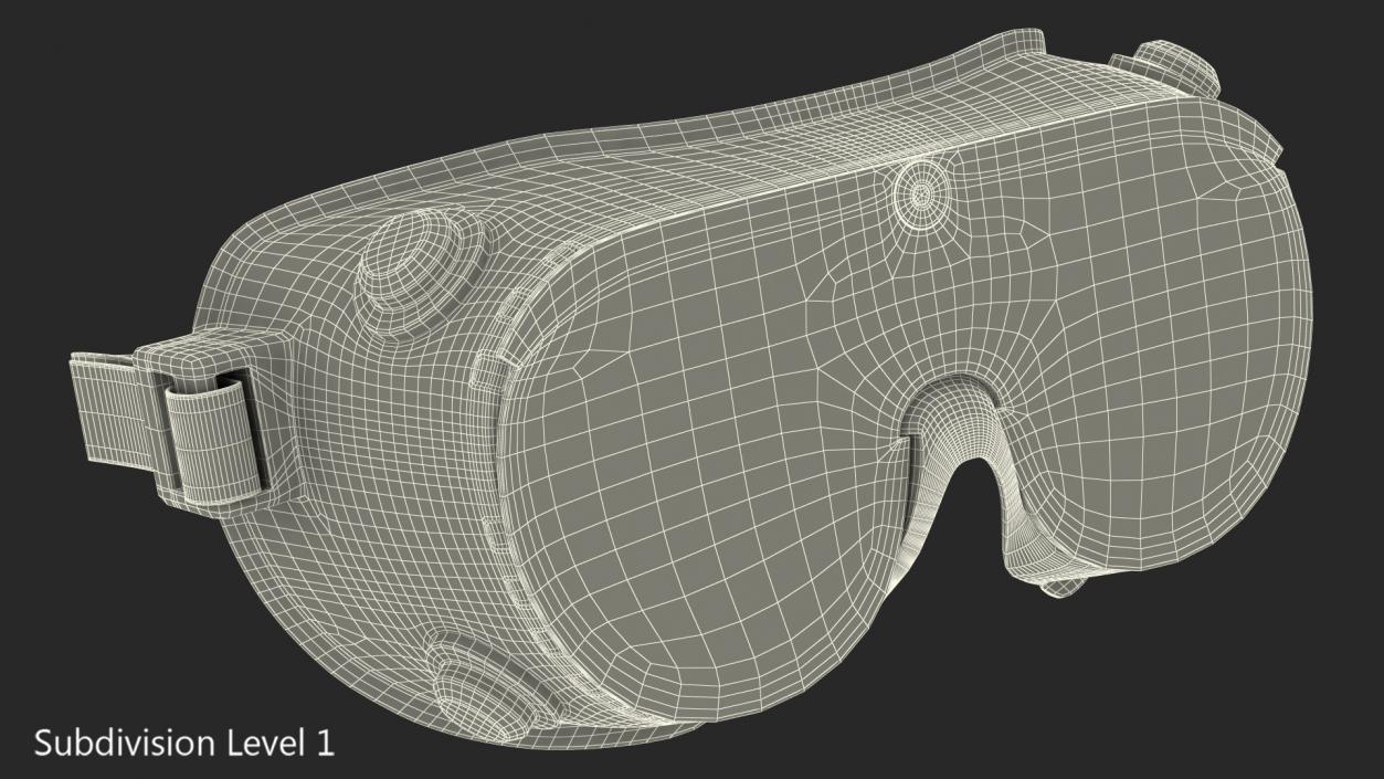 Scientific Safety Goggle 3D model