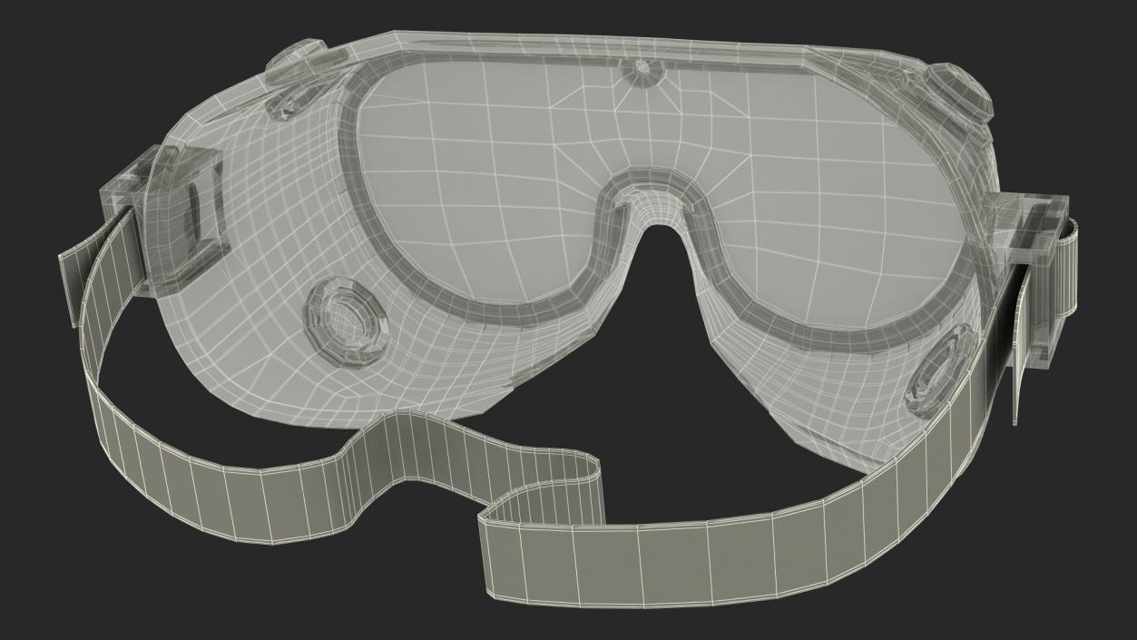 Scientific Safety Goggle 3D model