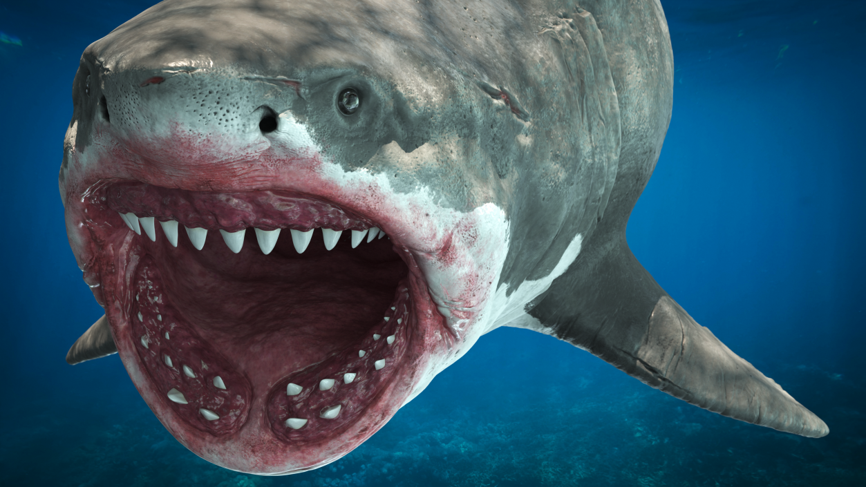 Megalodon Attacking Pose 3D model