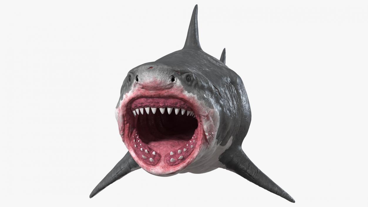 Megalodon Attacking Pose 3D model