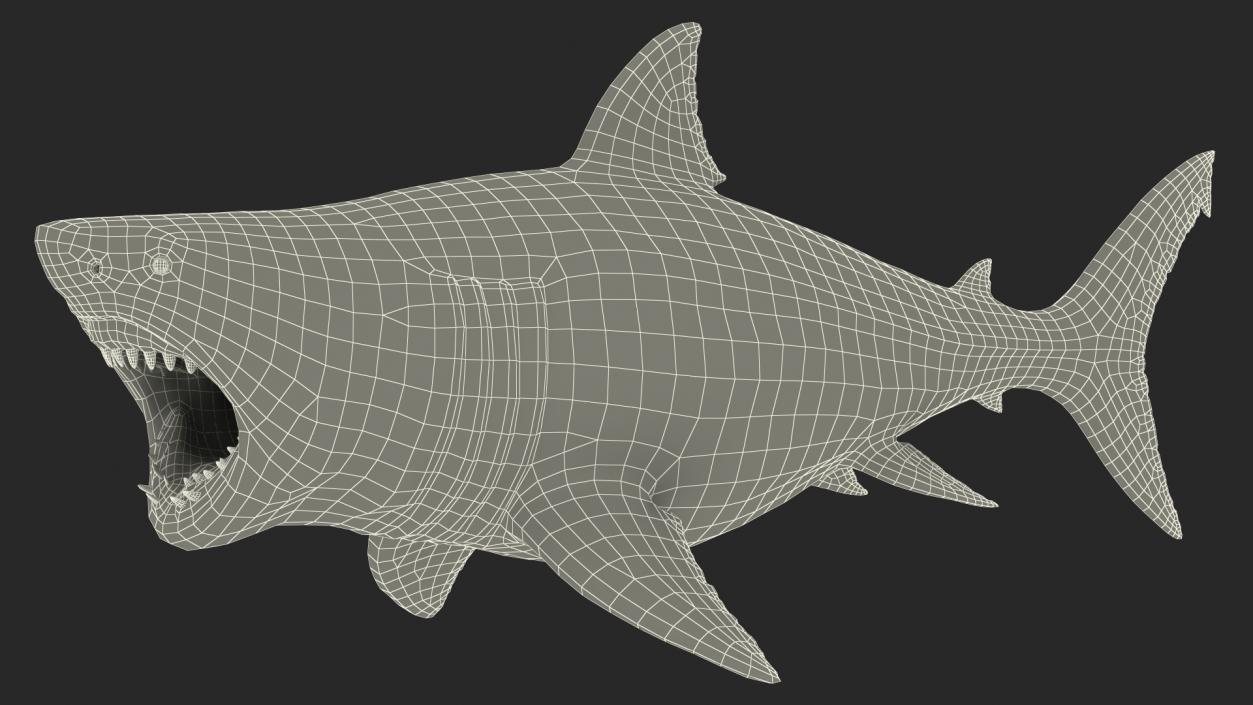 Megalodon Attacking Pose 3D model