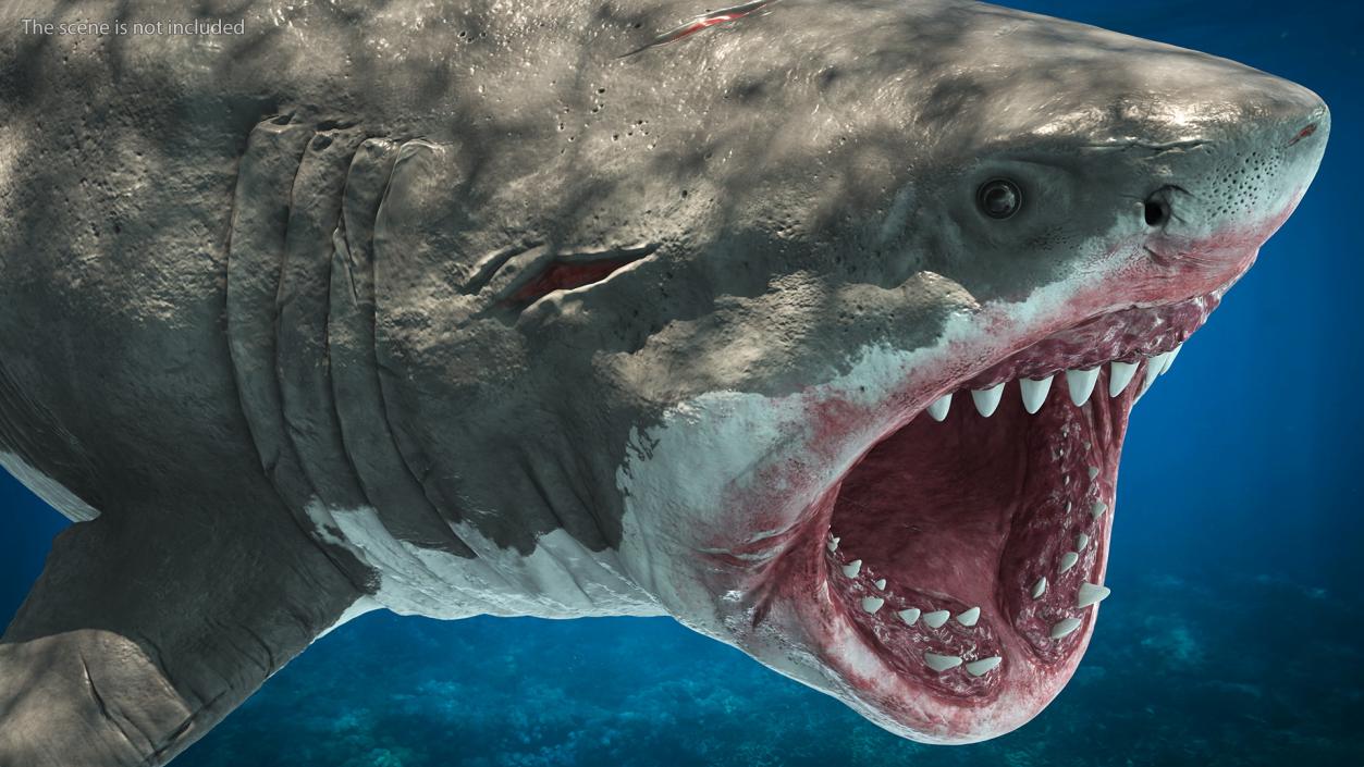 Megalodon Attacking Pose 3D model