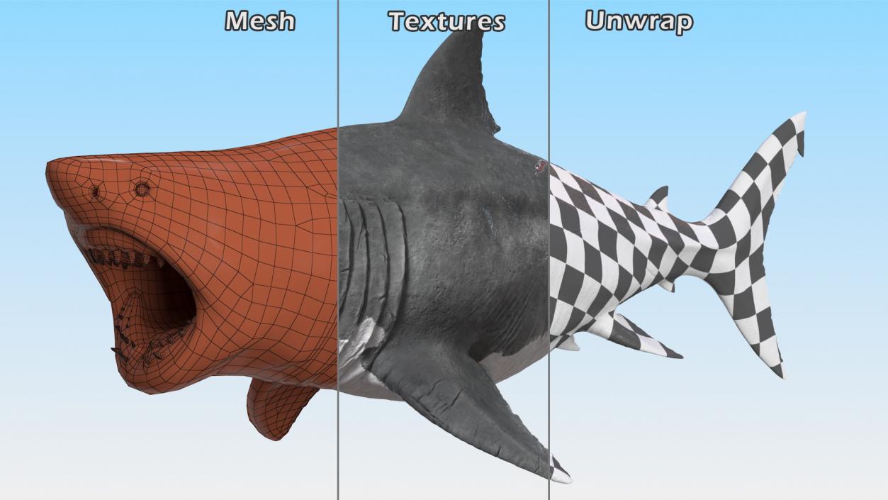 Megalodon Attacking Pose 3D model