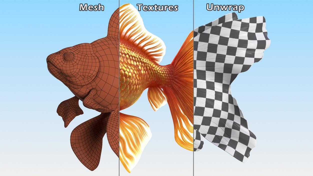 3D Orange Fancy Fantail Goldfish Swimming Pose model