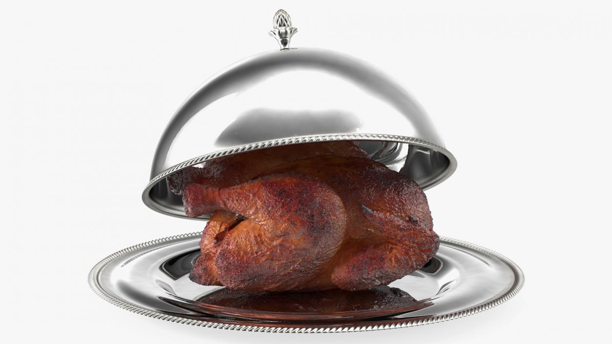 Roasted Turkey in Cloche Cook 3D model