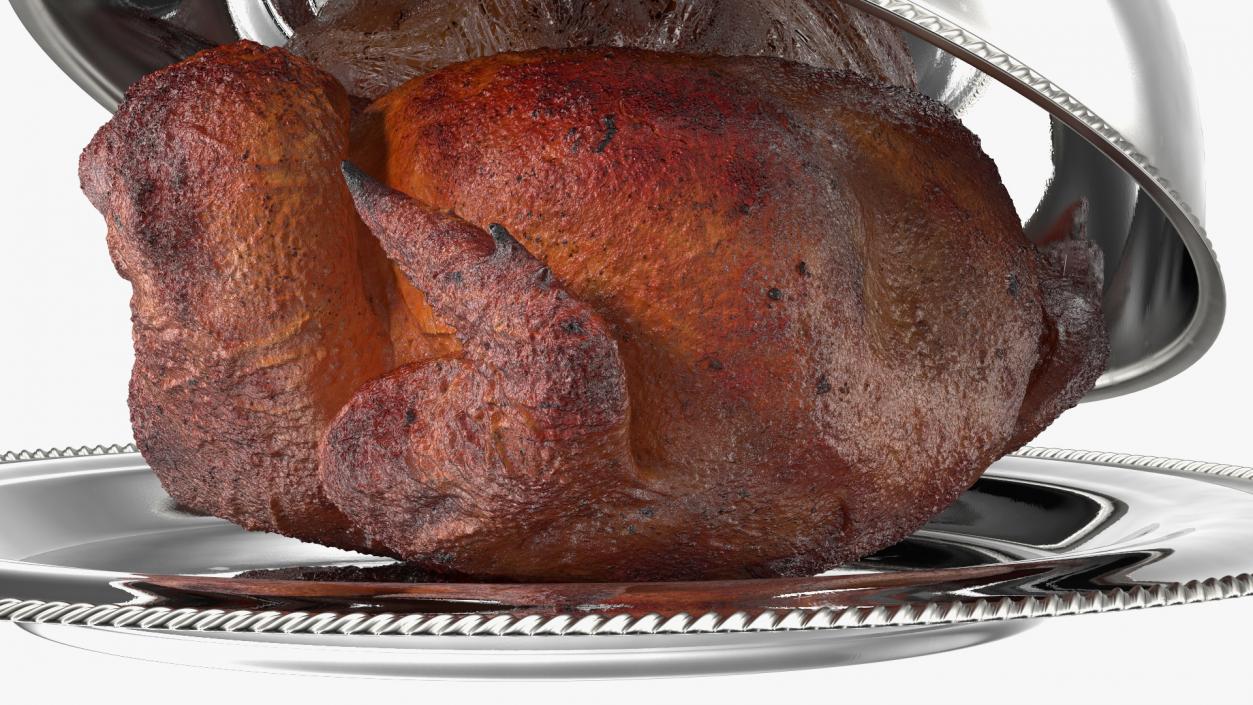 Roasted Turkey in Cloche Cook 3D model