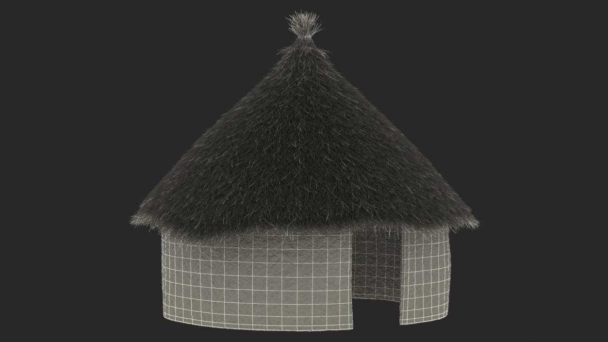 3D Traditional African Mud Hut Fur