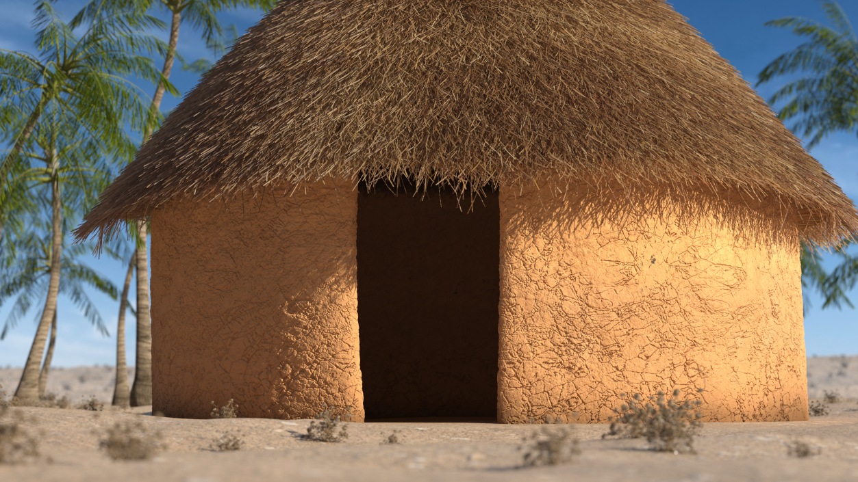 3D Traditional African Mud Hut Fur