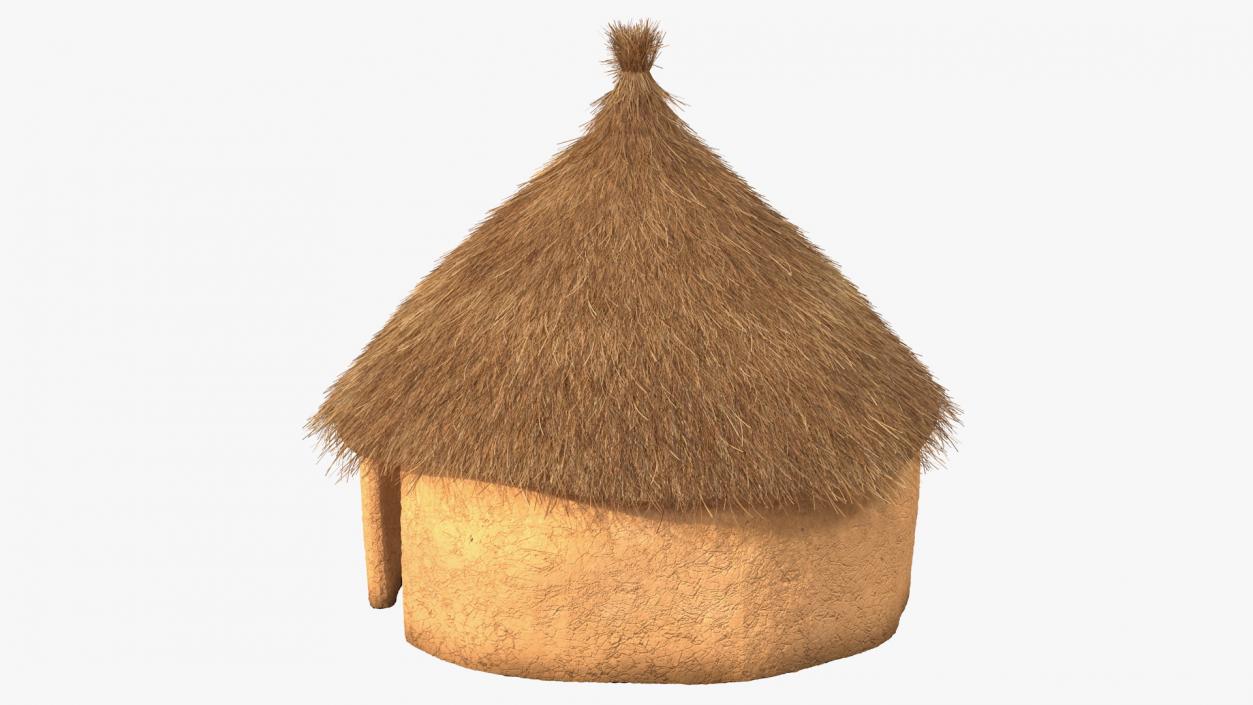 3D Traditional African Mud Hut Fur