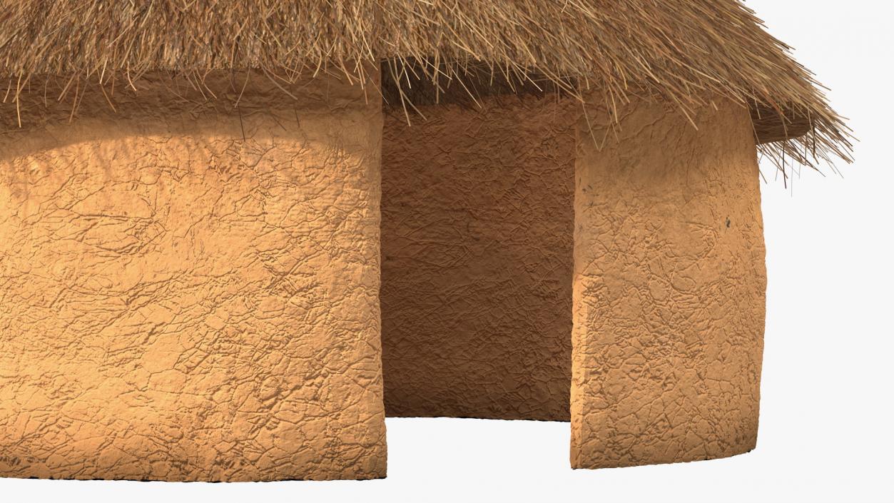 3D Traditional African Mud Hut Fur