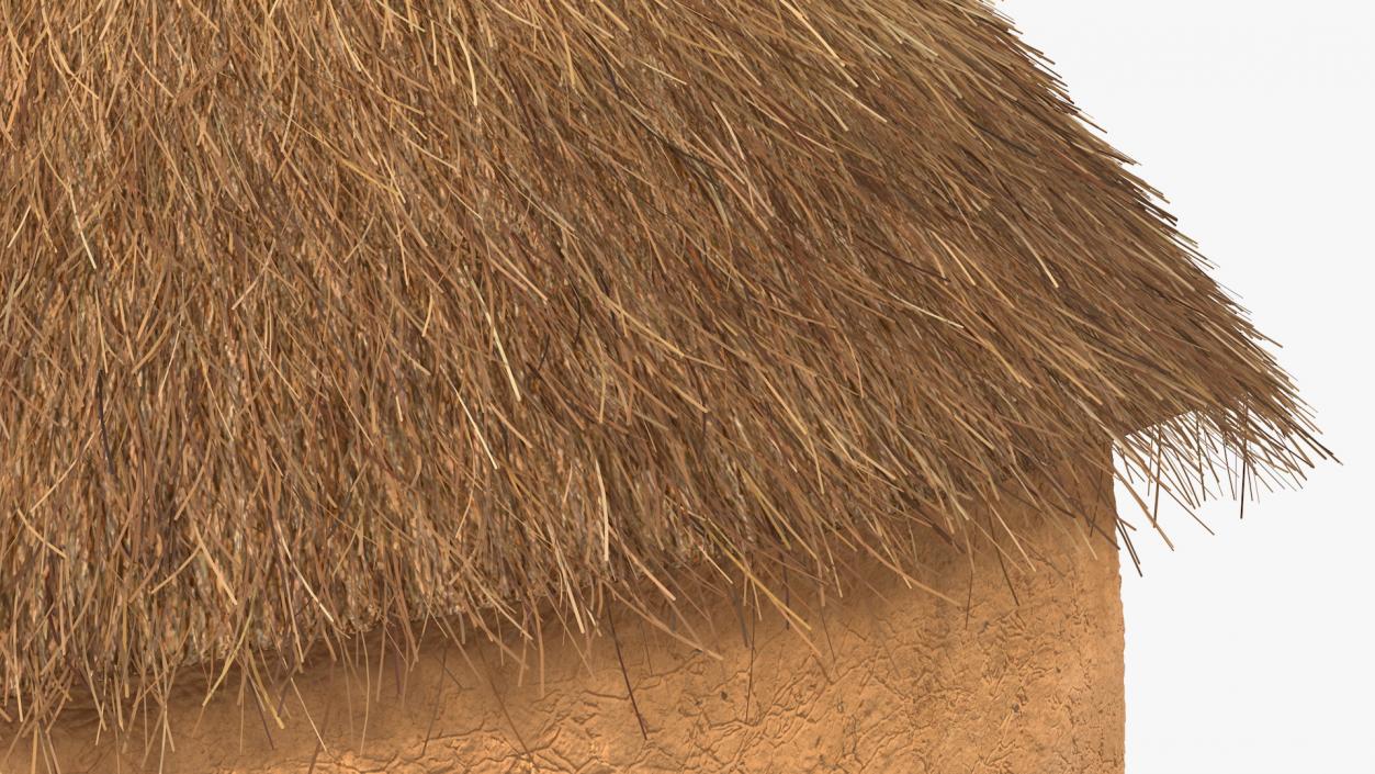 3D Traditional African Mud Hut Fur