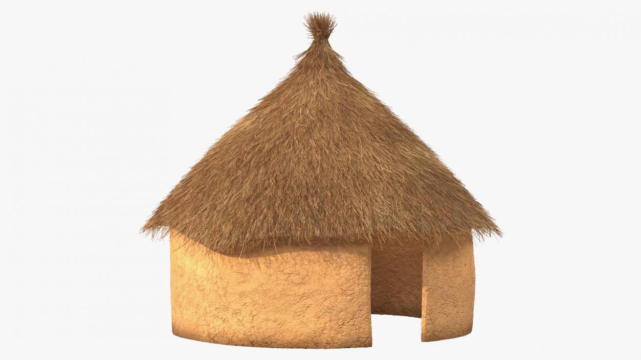 3D Traditional African Mud Hut Fur