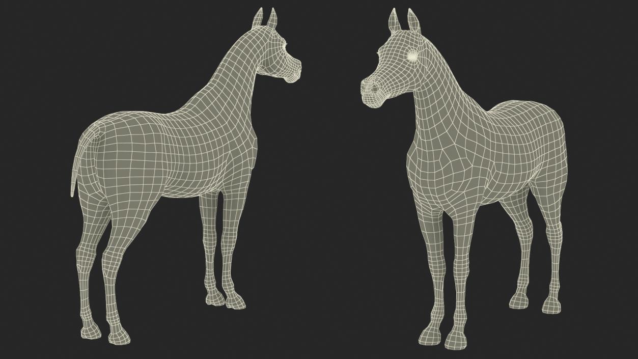 3D Arabian Horse Black Fur model