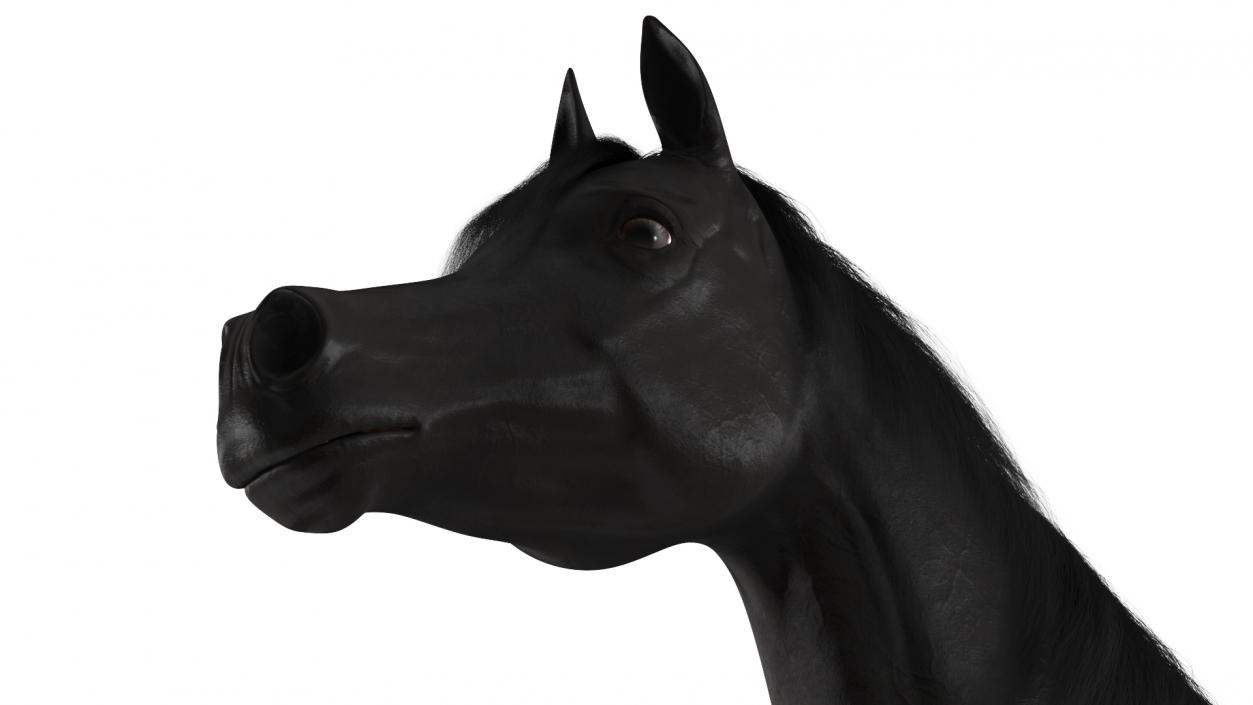 3D Arabian Horse Black Fur model