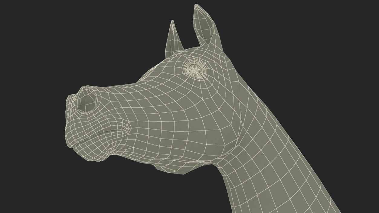 3D Arabian Horse Black Fur model