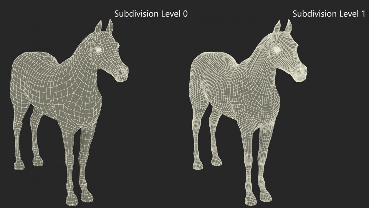 3D Arabian Horse Black Fur model