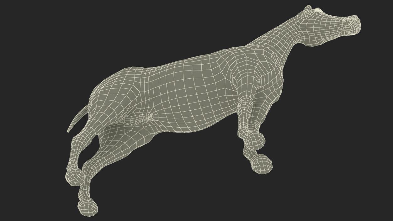 3D Arabian Horse Black Fur model