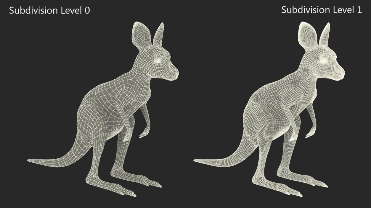 Baby Kangaroo Fur 2 3D model