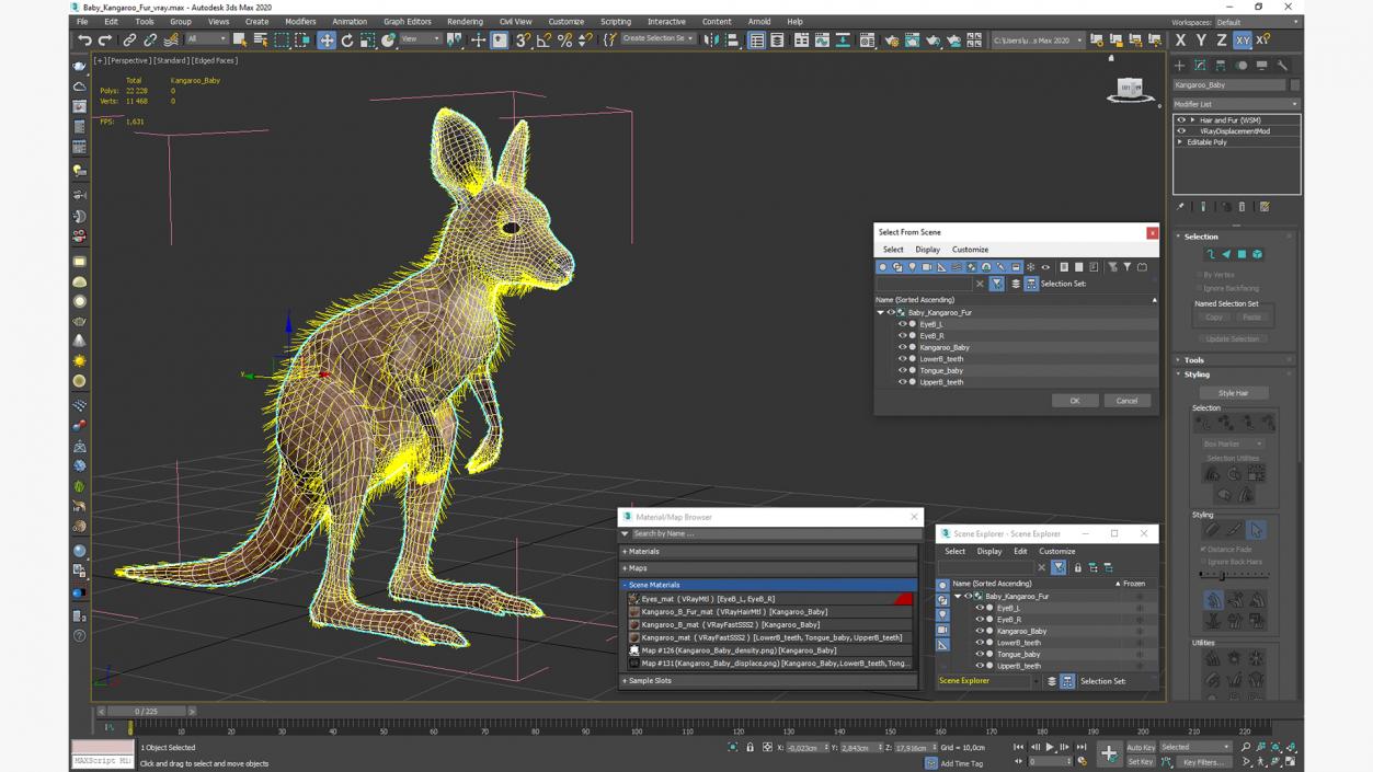 Baby Kangaroo Fur 2 3D model