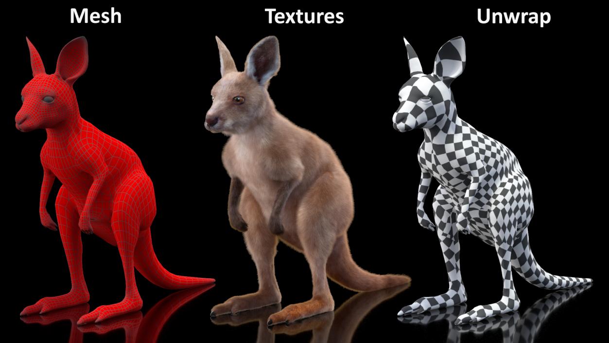 Baby Kangaroo Fur 2 3D model