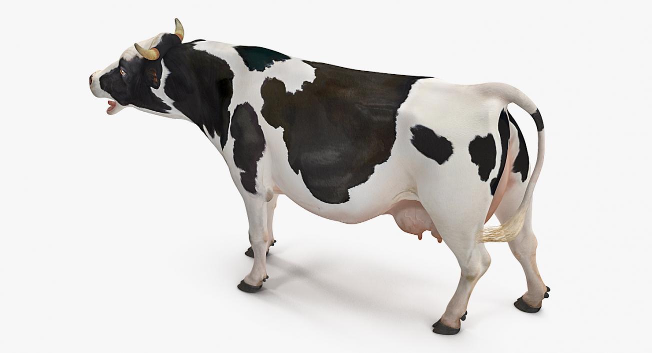 3D Dairy Cow Rigged