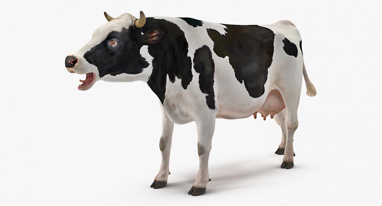 3D Dairy Cow Rigged