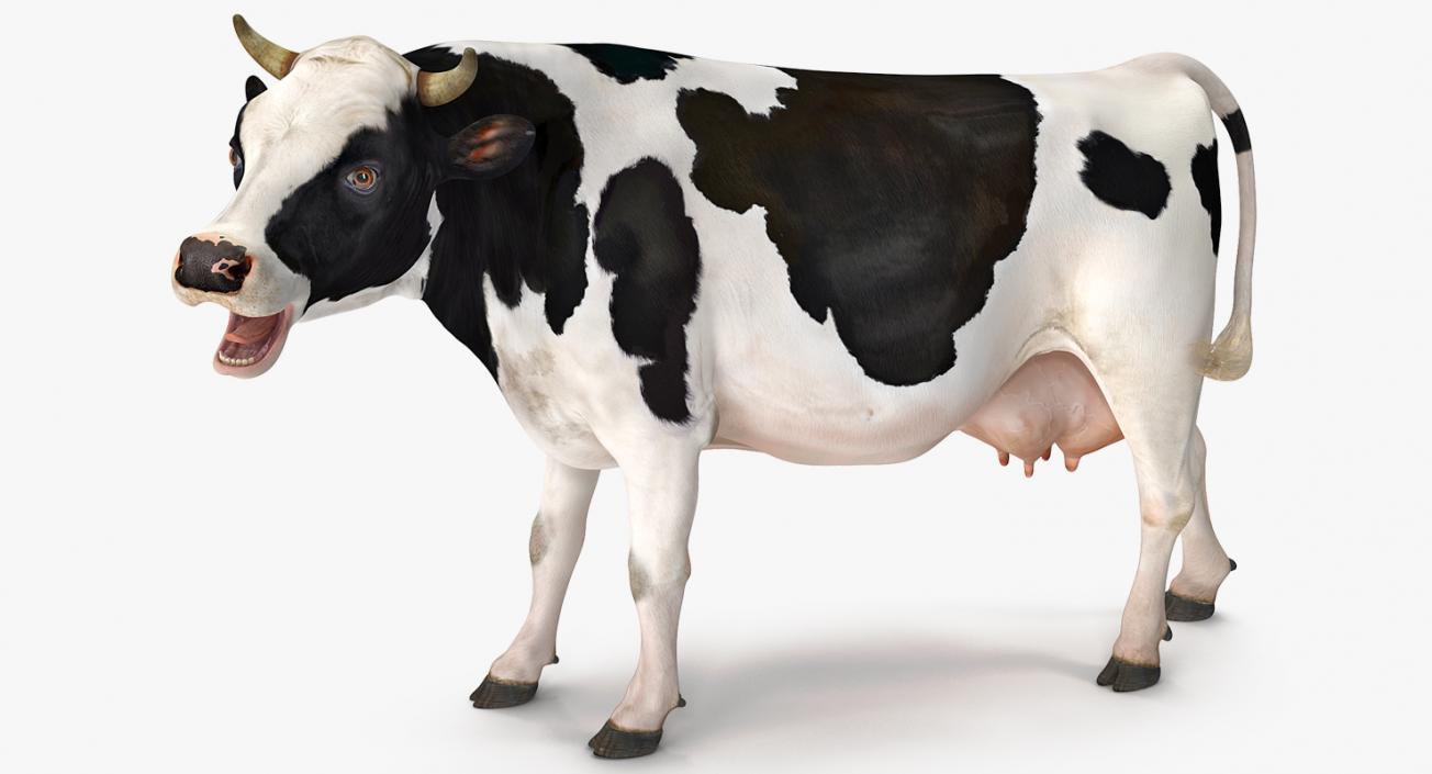 3D Dairy Cow Rigged