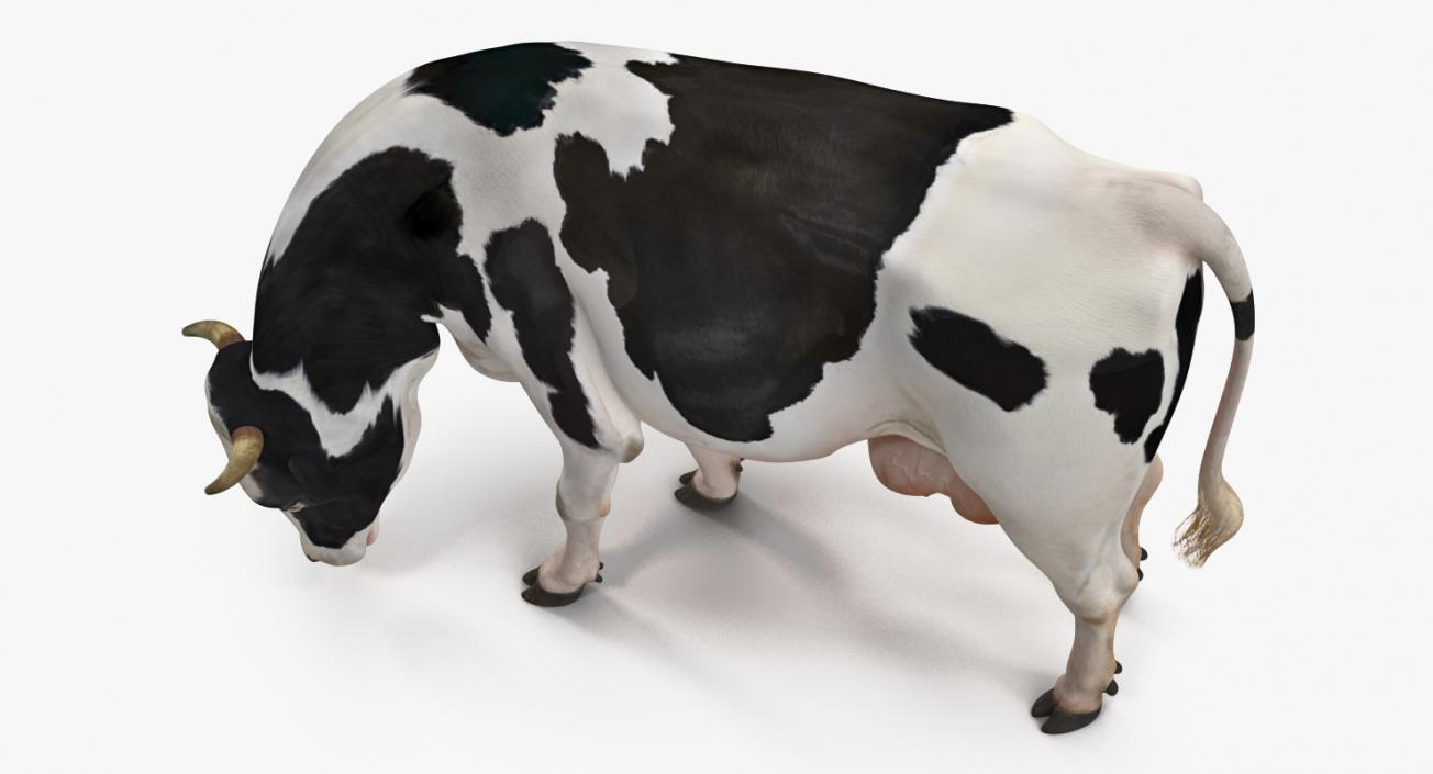 3D Dairy Cow Rigged