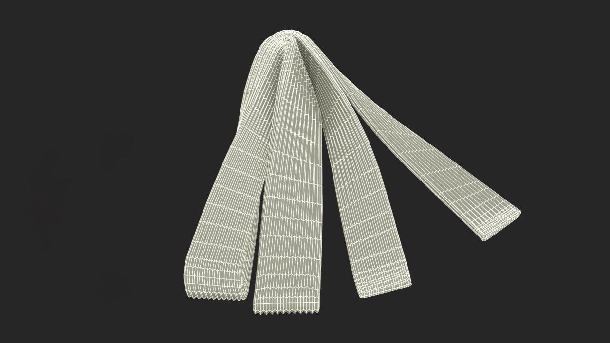 3D White Aikido Belt Obi