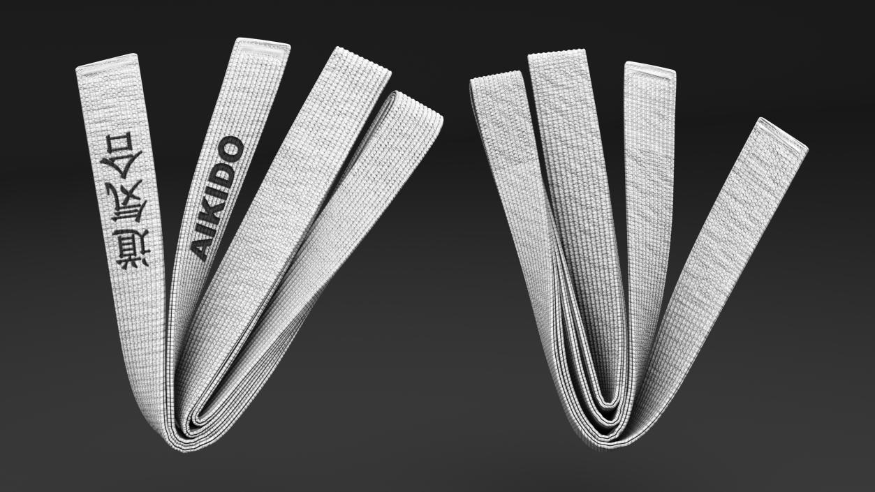 3D White Aikido Belt Obi