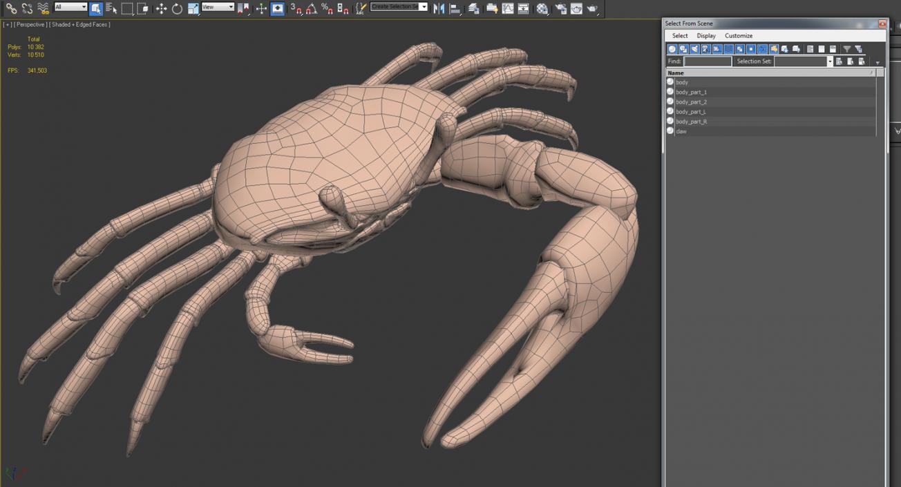 Fiddler Crab 3D