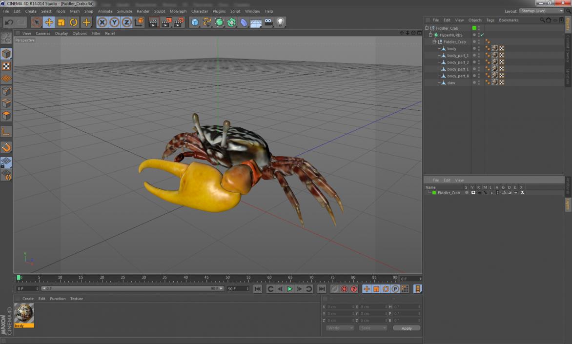 Fiddler Crab 3D