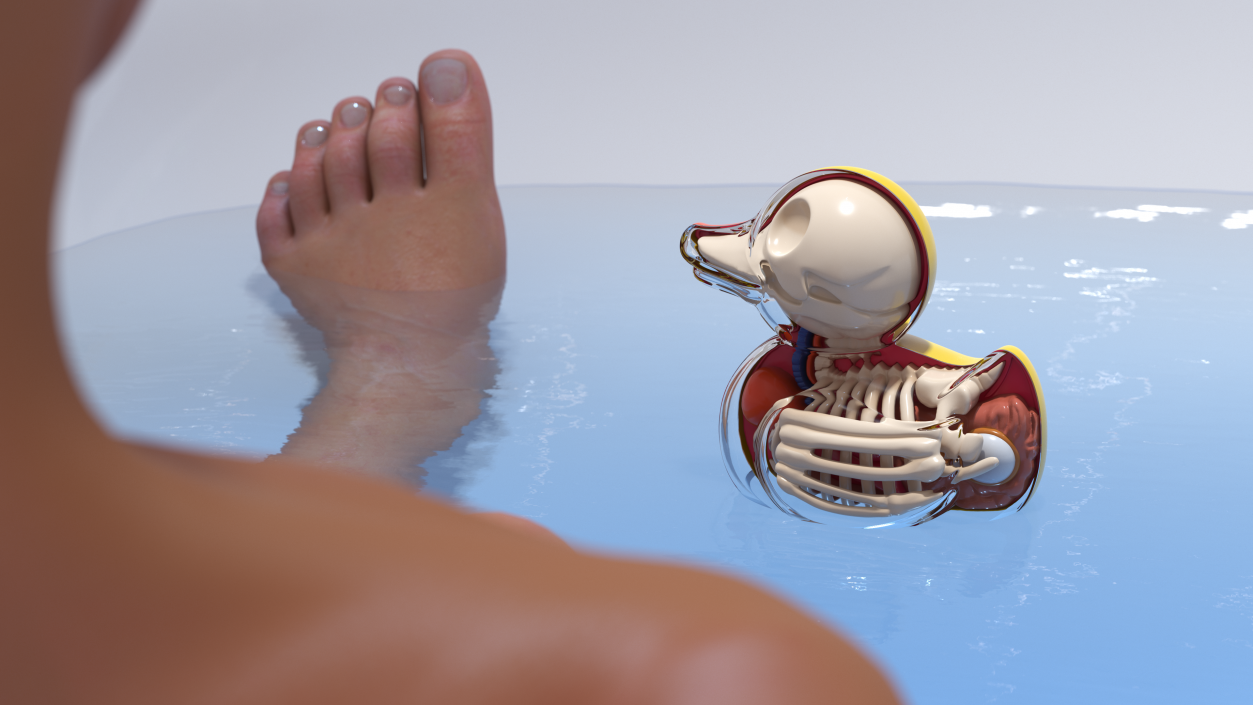 Bath Duck Anatomy Glass Half Shell 3D model