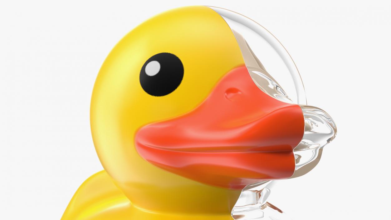 Bath Duck Anatomy Glass Half Shell 3D model