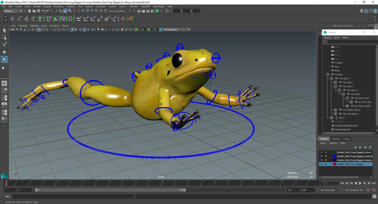 Golden Dart Frog Rigged for Maya 3D