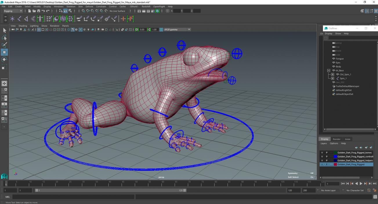 Golden Dart Frog Rigged for Maya 3D