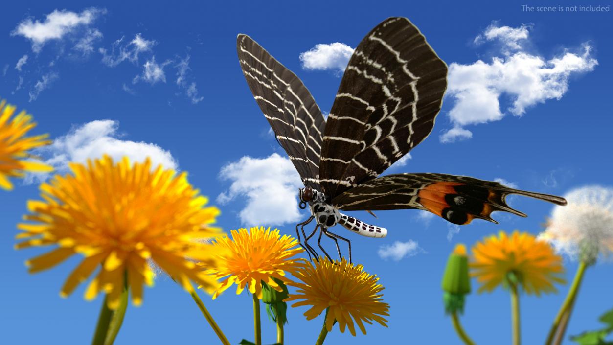 3D model Animated Flight Bhutan Glory Butterfly Rigged