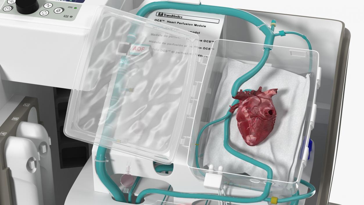 3D Organ Care System with Heart model