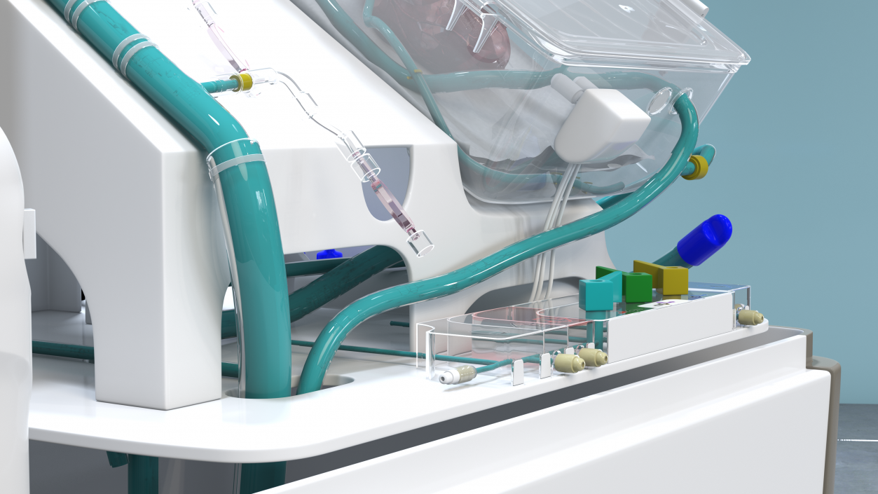 3D Organ Care System with Heart model